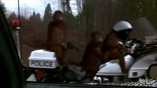 BRE┃АНТРОПОГЕНЕЗ┃ВЫПУСК №17 смотреть онлайн