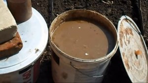 ОГУРЕЦ МУРАШКА F1 - РАННЕСПЕЛЫЙ САМООПЫЛЯЕМЫЙ ГИБРИД