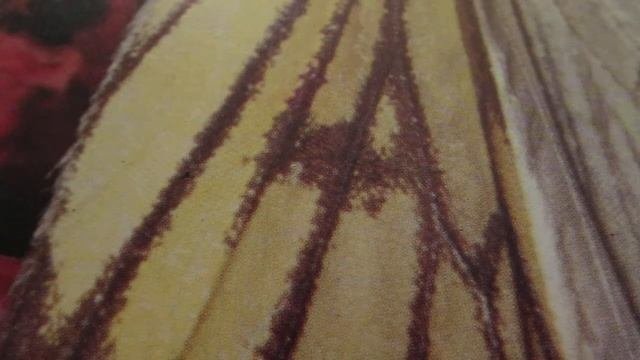 Как сделать обтачку горловины и проймы?How To Make The Neck And Armhole Facings?
