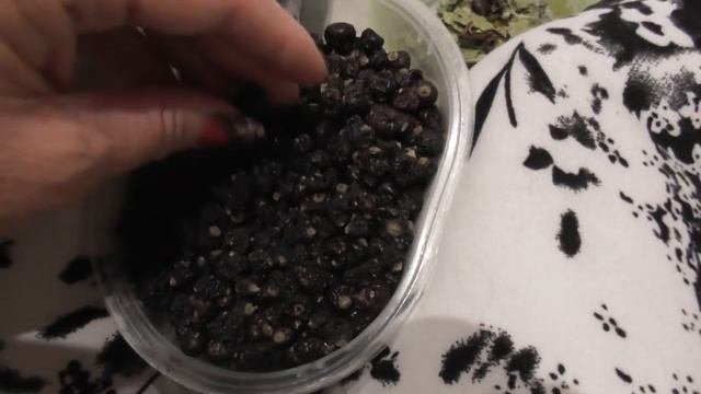 Питание шиншиллы/Чем кормить шиншиллу/Чем кормить домашнюю шиншиллу/Шиншилла Шуша/Елена и зверята