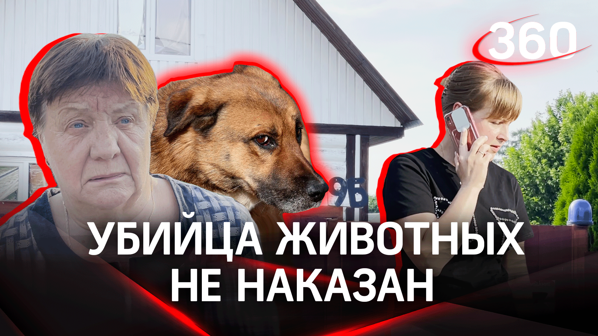 Живодер в Одинцово перестреливает и закалывает собак и кошек