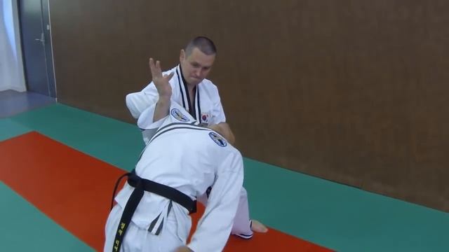 This is Hapkido Jin Jung Kwan смотреть онлайн