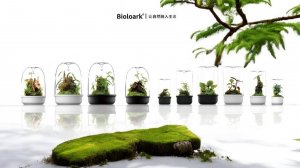 Bioloark чаша Лудзи.