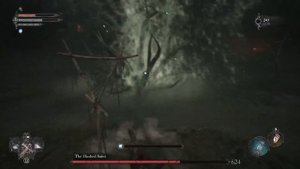 Lords Of The Fallen : Hushed Saint/Притихший Святой