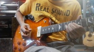 PRS SE 245 Soapbar clean and overdrive tones