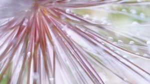 ЧТО ДЕЛАТЬ ЕСЛИ ФАЙЛЫ НА РАБОЧЕМ СТОЛЕ НЕ ОТОБРАЖАЮТСЯ