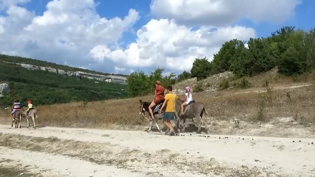 Ослики