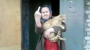 А быстро лишь кошки родятся...