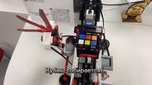 РЕКЛАМА КОМПЬЮТЕРНОЙ АКАДЕМИИ TOP НА УДЕЛЬНОЙ!