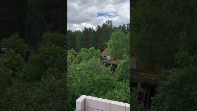 СПАСЁМ БЕДНУЮ СОБАКУ ▴ ВЕДЬМИНА ИЗБА. ИНГА ХОСРОЕВА