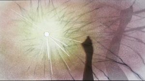 Чароит Волшебные истории Чароит Ворон твоей судьбы