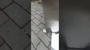 Внутренняя печь для купели Фурако. Погружная печь для купели №1