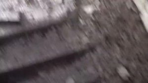 Дворец культуры имени В.И. Ленина Нижний Новгород