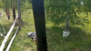 04.06.2022 забор из сосновых столбов и жердей, срок эксплуатации