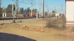 Сапсан на скорости 250 км ч максимальная скорость поезда Сапсан