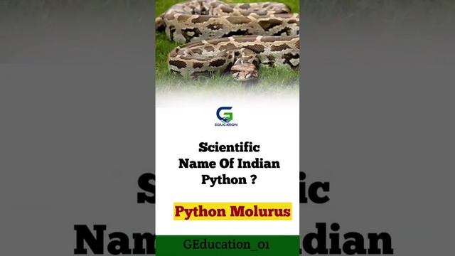 Indian Python #geducation_01 #upsc #ias #subscribers #youtuber #foryou #gk #support #python