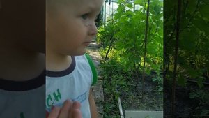 Ма-ли-на)