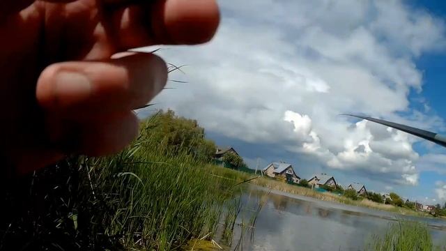 Рыбалка на карася летом на поплавочную удочку. Рыбалка на карася 2017 смотреть онлайн