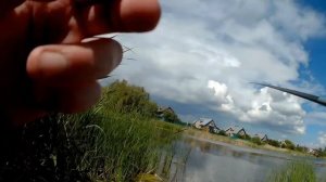 Рыбалка на карася летом на поплавочную удочку. Рыбалка на карася 2017