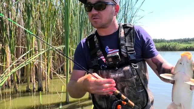 Ловлю КАРПА под НОГАМИ В КАМЫШЕ!!! смотреть онлайн