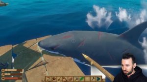 ЧАЙКИ ЗАХВАТИЛИ МОЙ ПЛОТ