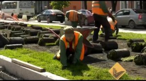 Геосетка и рулонный газон на пр Советском