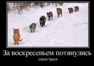 Валерий Курас - Давайте выпьем за здоровый образ жизни