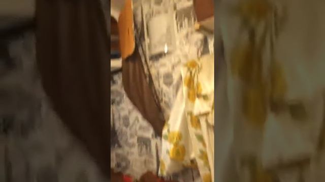 Как живут артисты цирка шапито .один из примеров