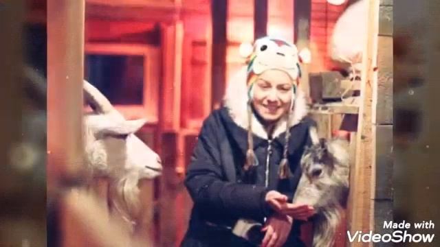 Провела ночь с животными! 24 часа челлендж🔮!(фан Ани Меджик) смотреть онлайн