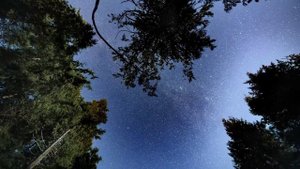 Звездное небо. Рассвет.