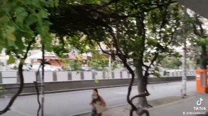 Виноградная Лоза (ты ни в чем не виновата)