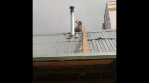 Как почистить быстро дымоходную  трубу