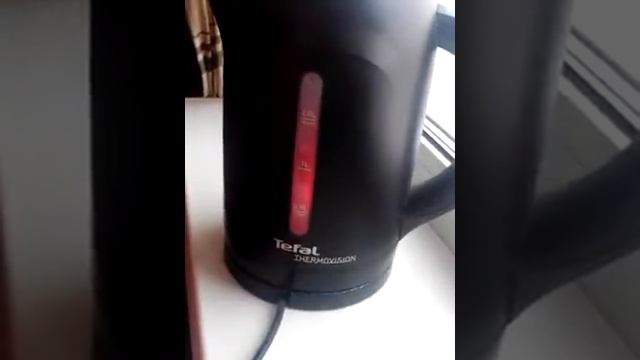 Чайник Tefal "Thermovision". Писк