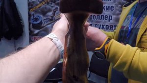 Ружья арбалеты для подводной охоты Дмитрия Писарева