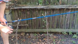 ГЕНИАЛЬНАЯ рыбацкая СНАСТЬ самоподсекатель для КАРАСЯ