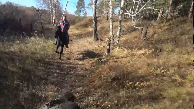 Я видел во сне тени черных коней смотреть онлайн