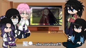 hashiras react to nezuko conquers the sun // season 3 spoilers // demon slayer // exotic-!!