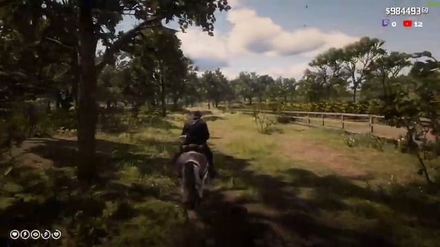 RTX 3090 SLI ► Red Dead Redemption 2 4K Ultra Settings | W-3175X | UberRig | RDR2 4K | ThirtyIR смотреть онлайн