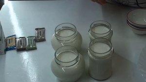 Закваски, пробиотик-закваски, пробиотики и ферменты.