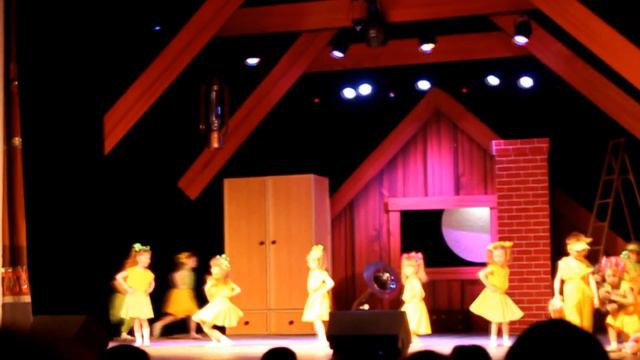 Карина выступает во дворце. смотреть онлайн