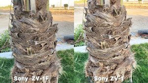 Sony ZV-1F VS Sony ZV-1 Camera Test