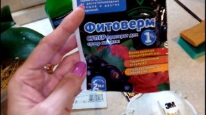 Мучнистый червец:как избавиться от мучнистого червеца на 100% за одну обработку