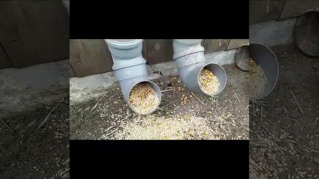 Бункерная кормушка для кур..