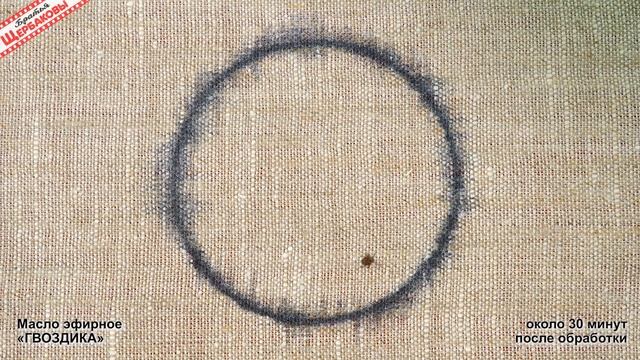 ЛУЧШИЕ отпугивающие средства для защиты от КЛЕЩЕЙ! ТОП-3! Честный БАТЛ смотреть онлайн