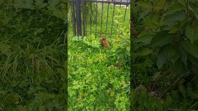 1000014478.mp4
