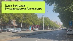 Какая улица самая длинная в Сербии?