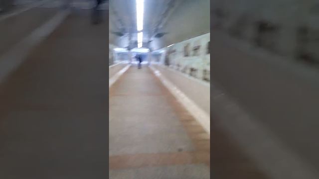 Мост,львы ,Могилёв смотреть онлайн