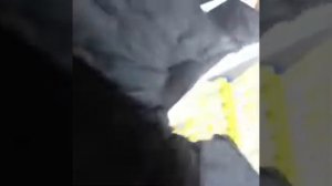 Смена купола у зонта-автомат. Мастерская Александра.