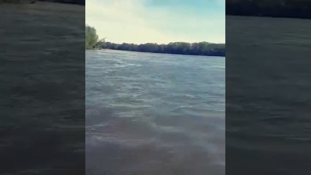 #камчатка #петропавловск_камчатский #елизово #авача #жена ???? #рыбалка #кижуч смотреть онлайн