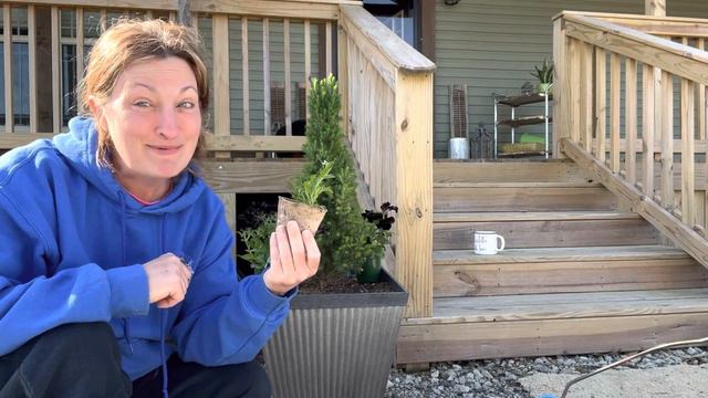 Planting crazytunia BLACK MAMBA petunias and alyssum in pots🪴/Rockin G Farm смотреть онлайн